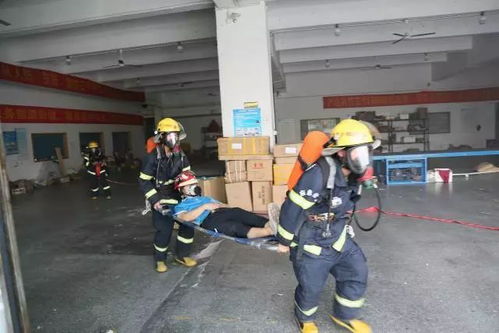 東莞市舉辦郵政快遞行業應急救援演練暨消防志愿者服務隊授旗儀式
