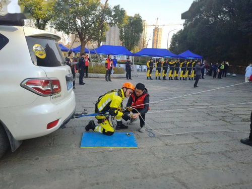 濱江區森林火災撲救演練與競賽圓滿落幕，三聯公益救援服務中心協辦助力